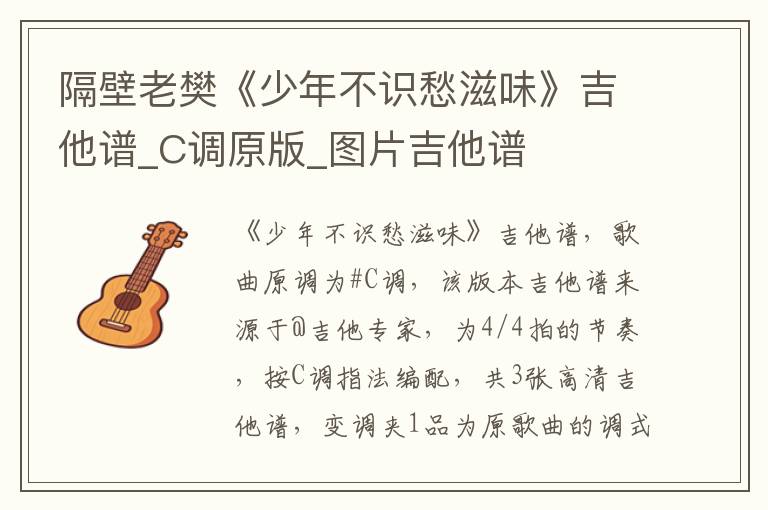 隔壁老樊《少年不识愁滋味》吉他谱_C调原版_图片吉他谱