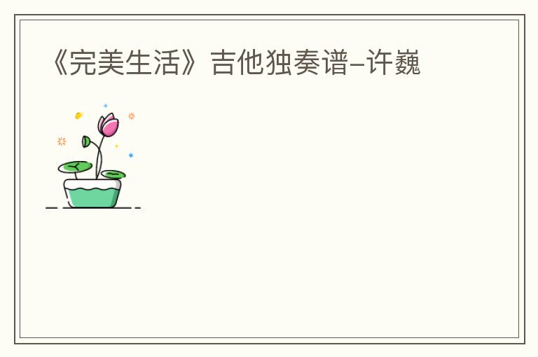 《完美生活》吉他独奏谱-许巍