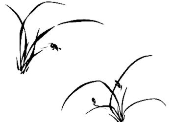 《兰花草》吉他独奏谱-胡适,陈贤德