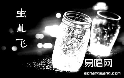 《虫儿飞》吉他独奏谱-林夕,陈光荣