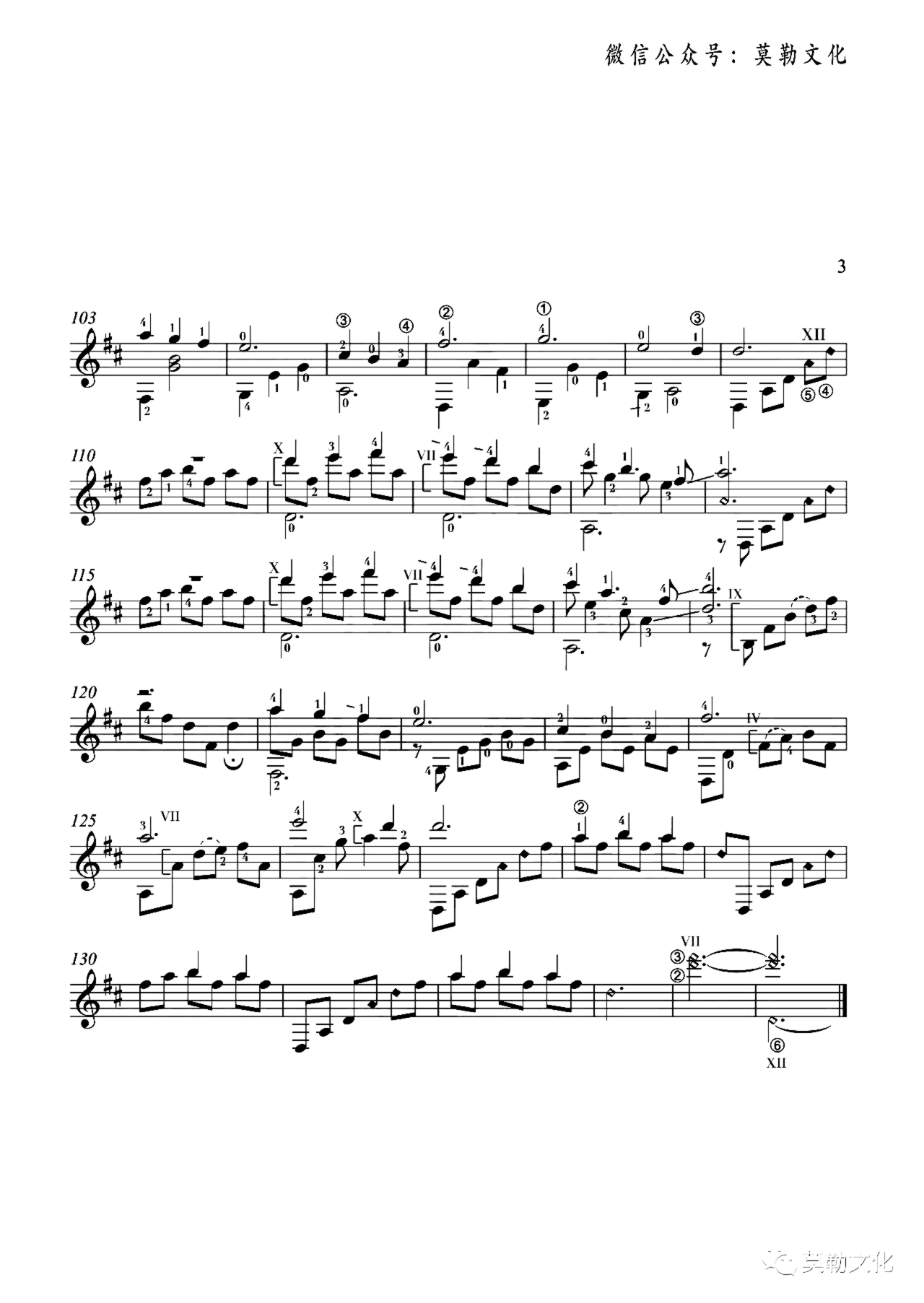 《我和我的祖国》吉他独奏谱-张藜,秦咏诚