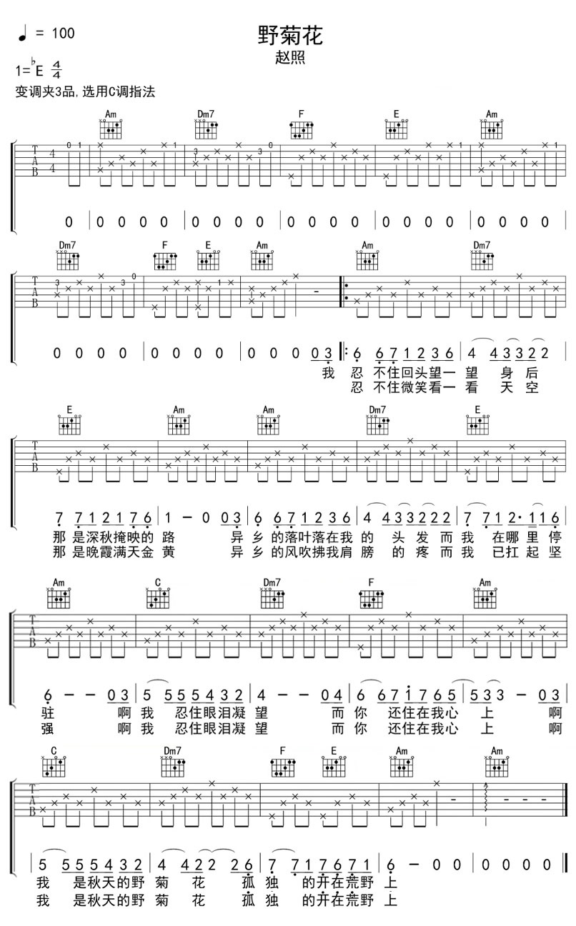 赵照《野菊花》吉他谱_C调简单版弹唱谱
