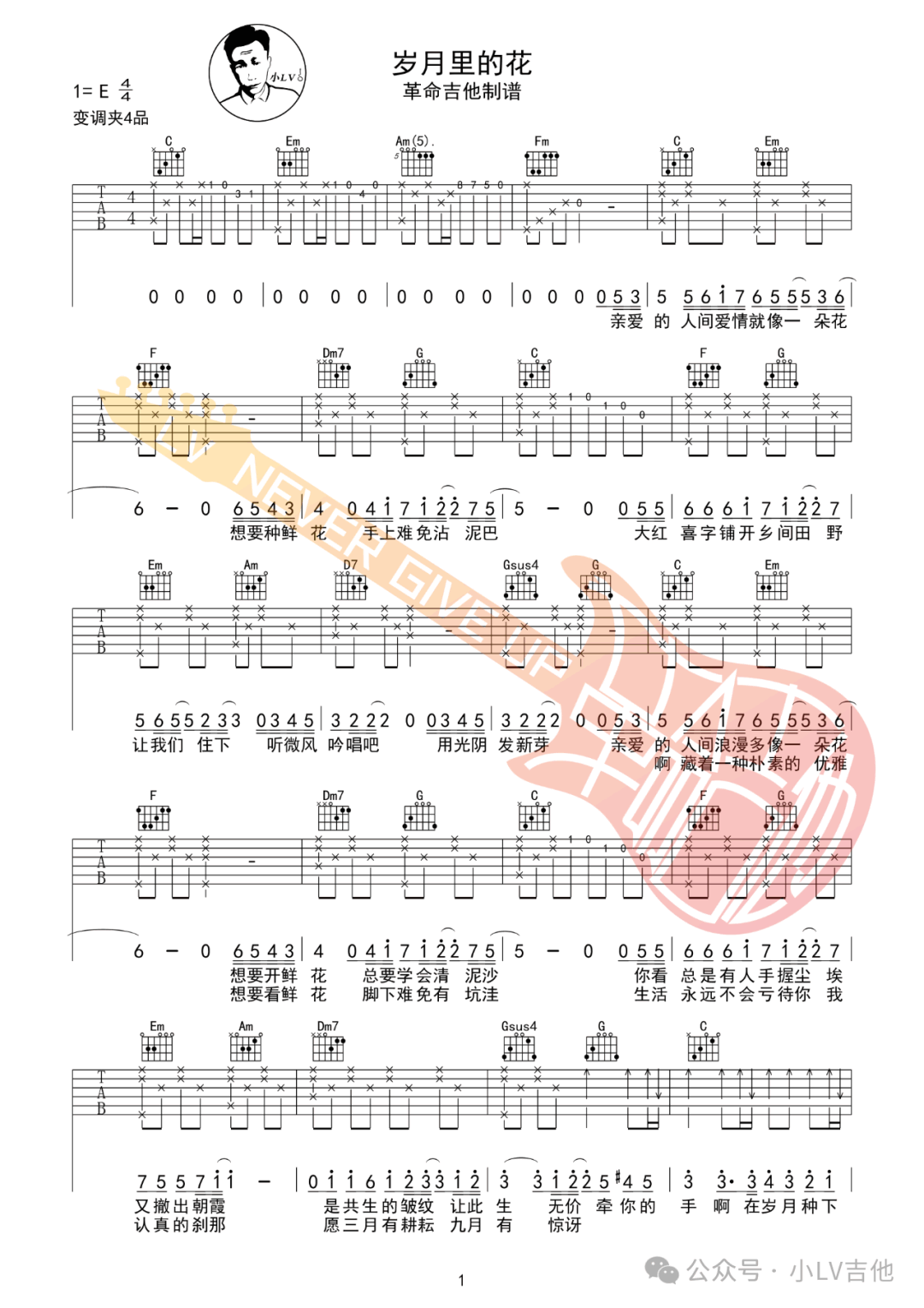 毛不易/莫文蔚《岁月里的花》吉他谱_C调原版弹唱谱