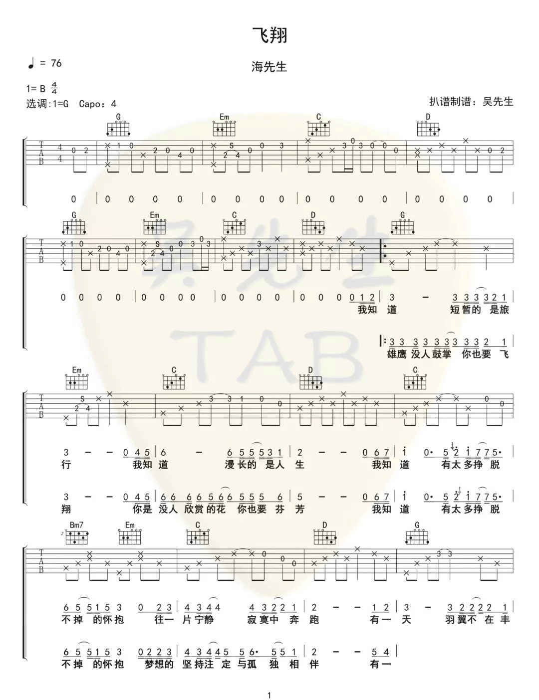 海先生《飞翔》吉他谱_G调指法原版弹唱谱