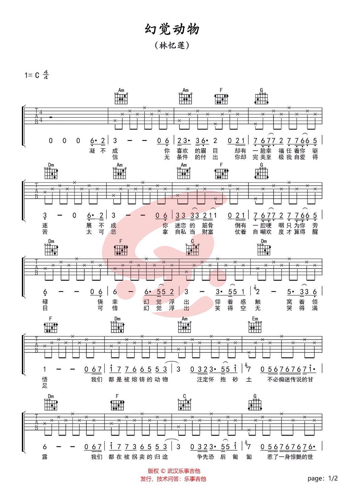 林忆莲《幻觉动物》吉他谱_C调指法简单版
