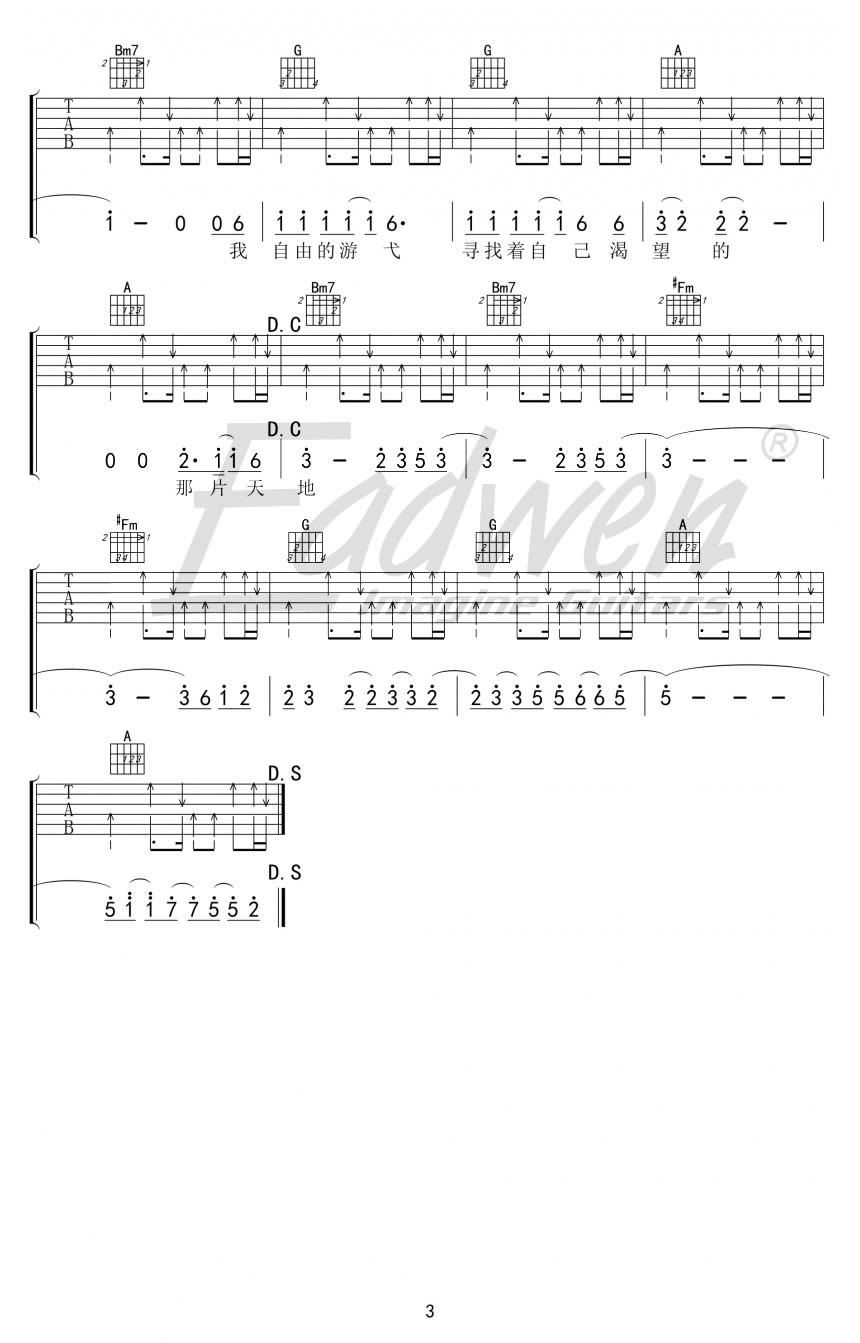 许飞《寻水的鱼》吉他谱_D调指法扫弦版弹唱谱