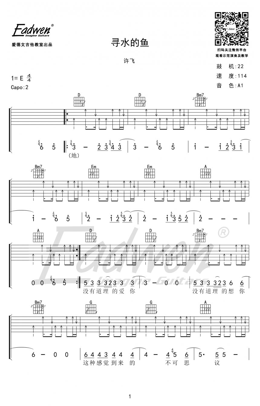 许飞《寻水的鱼》吉他谱_D调指法扫弦版弹唱谱