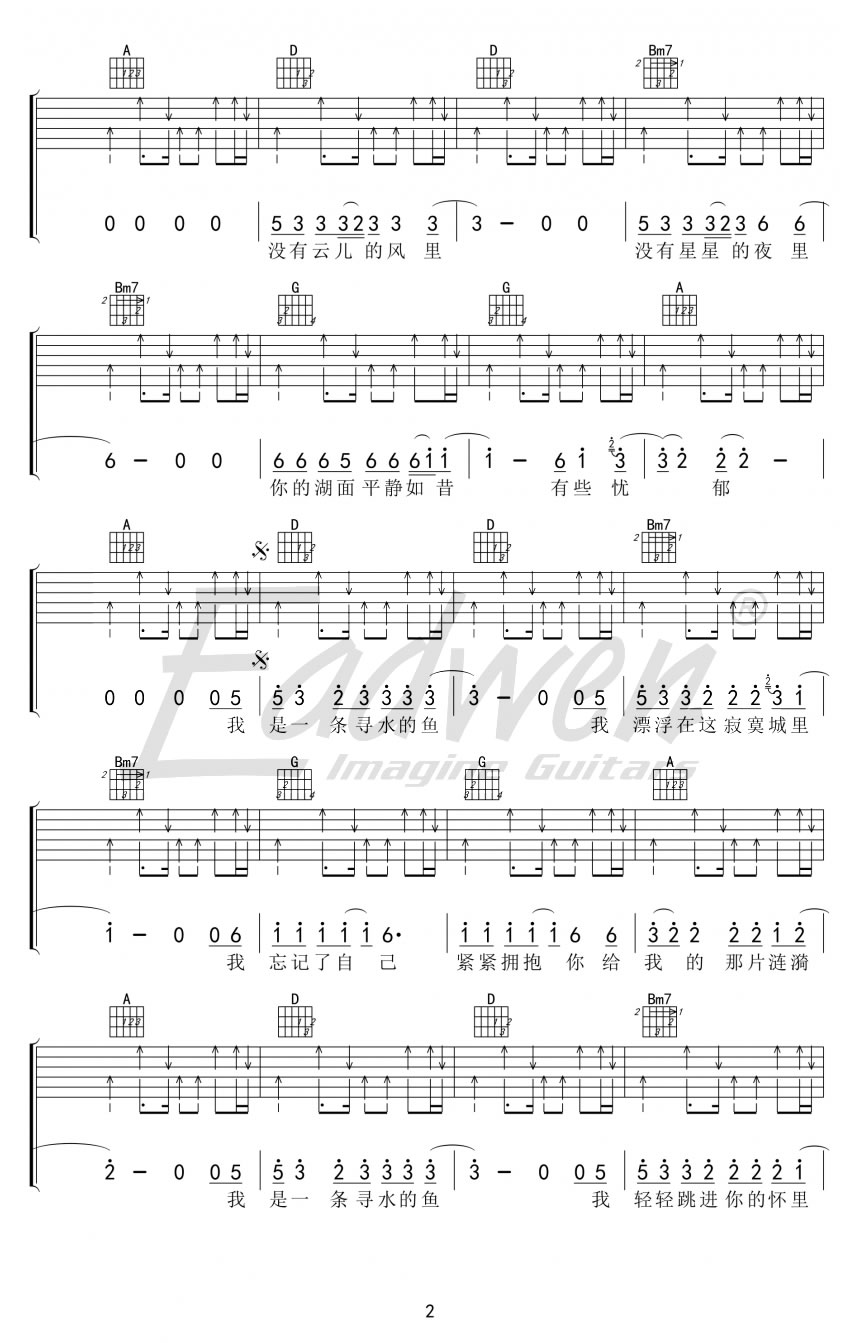 许飞《寻水的鱼》吉他谱_D调指法扫弦版弹唱谱