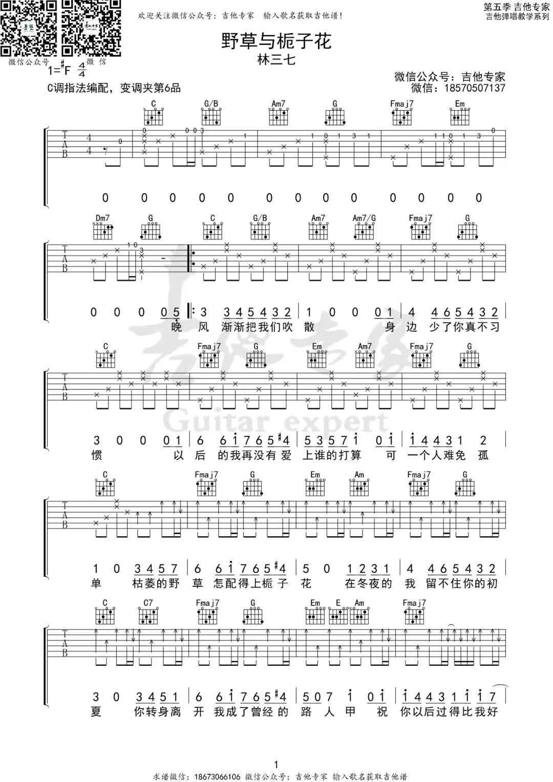 林三七《野草与栀子花》吉他谱_C调指法弹唱谱