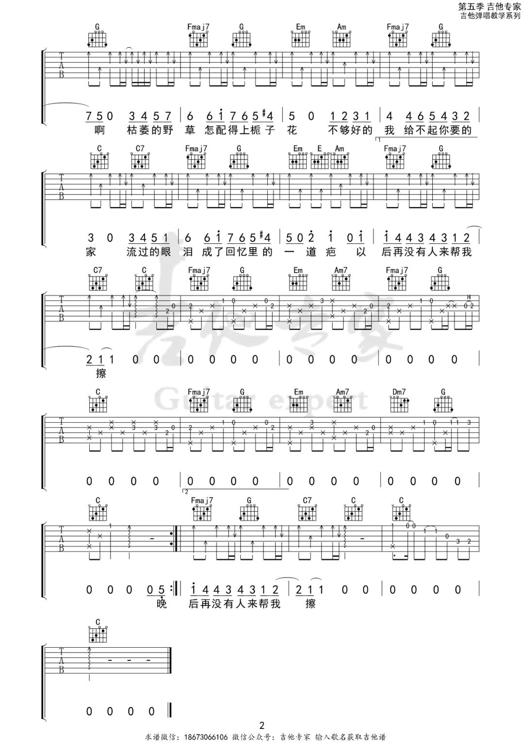 林三七《野草与栀子花》吉他谱_C调指法弹唱谱