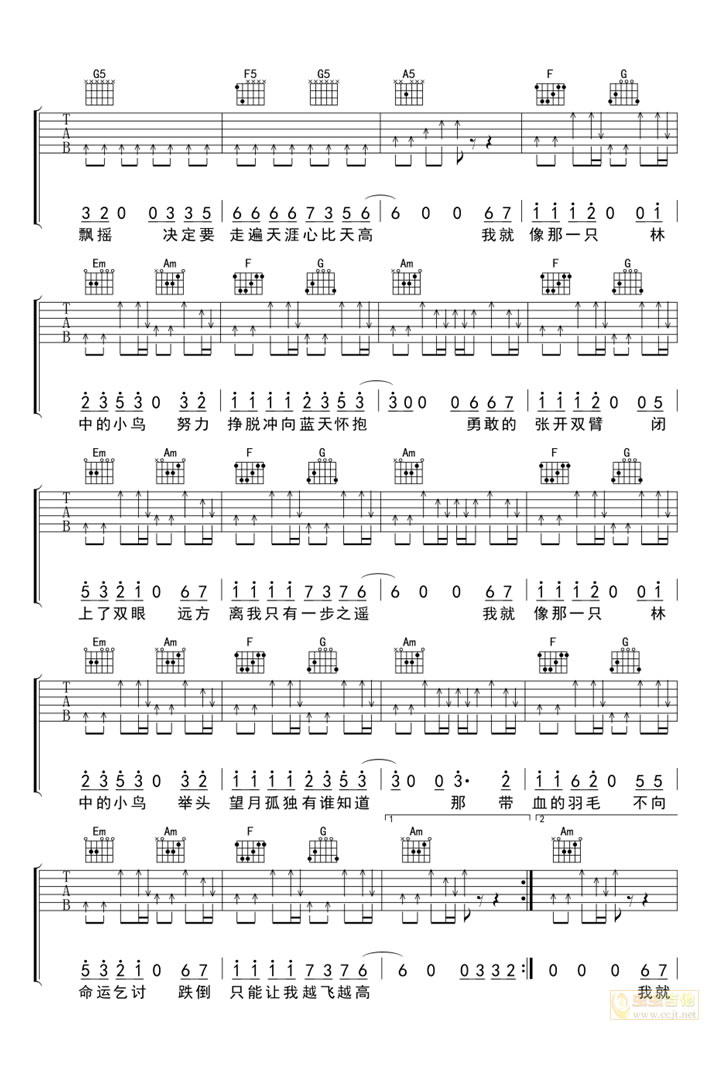 葛林《林中鸟》吉他谱_C调指法扫弦版