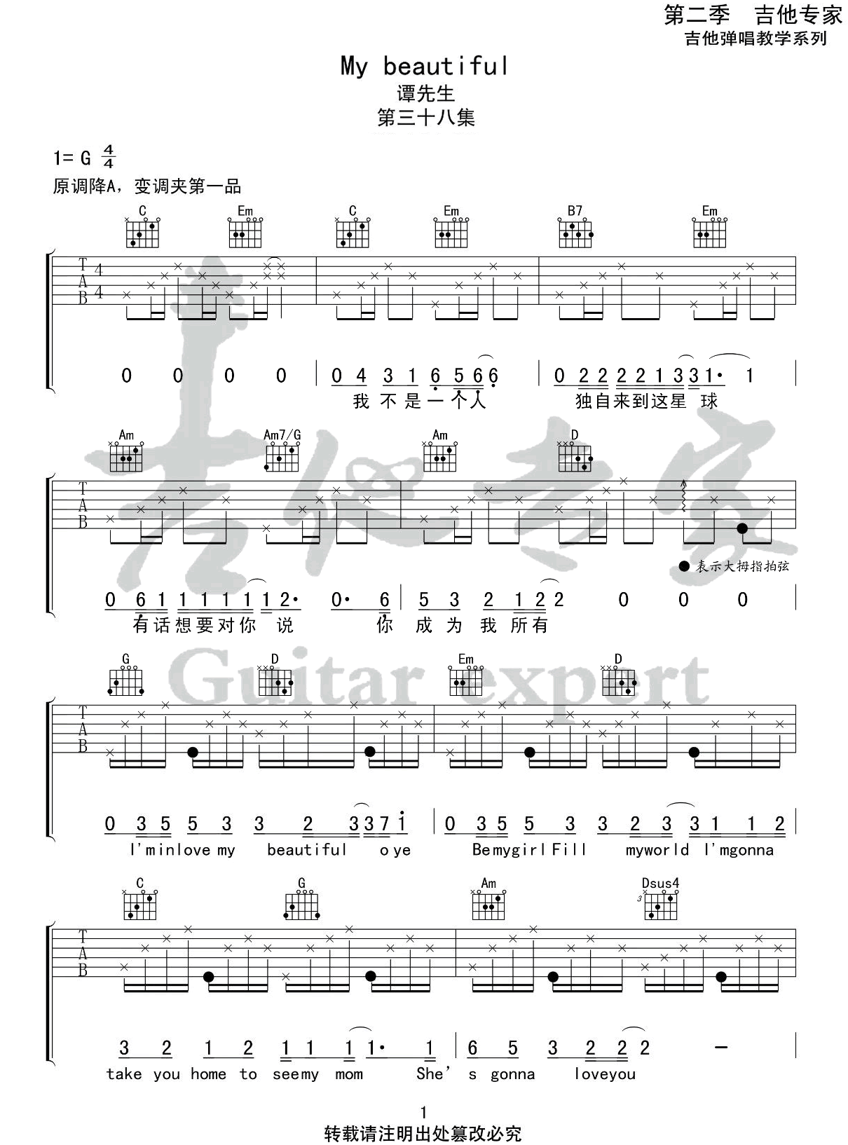 谭先生/大文《My Beautiful》吉他谱_G调简单版