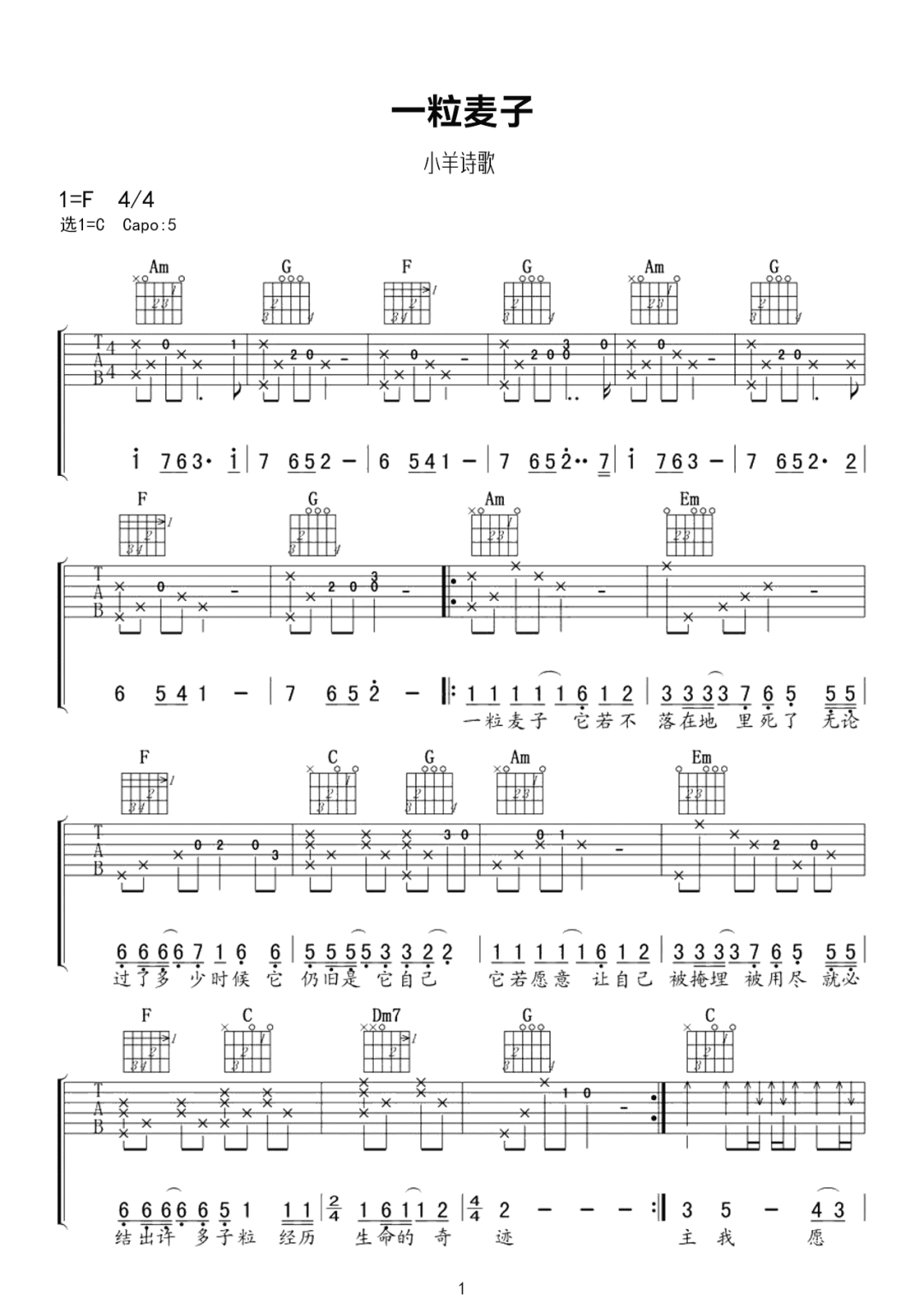 小羊诗歌《一粒麦子》吉他谱_C调指法原版弹唱谱