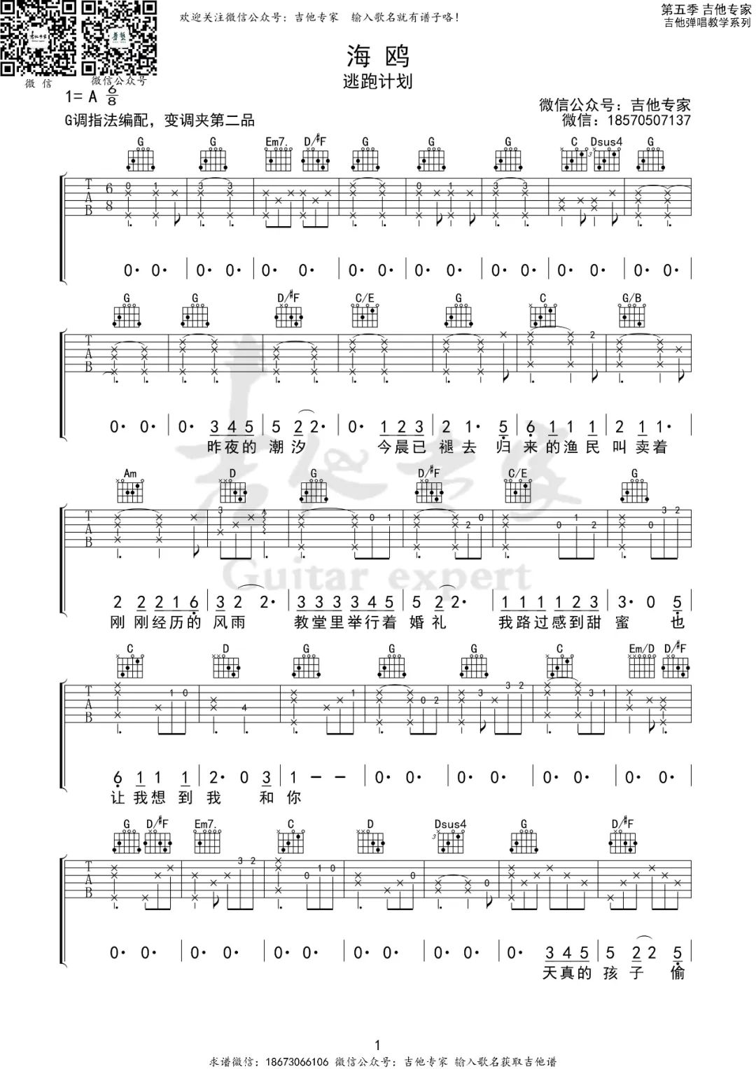 逃跑计划《海鸥》吉他谱_G调指法原版弹唱谱