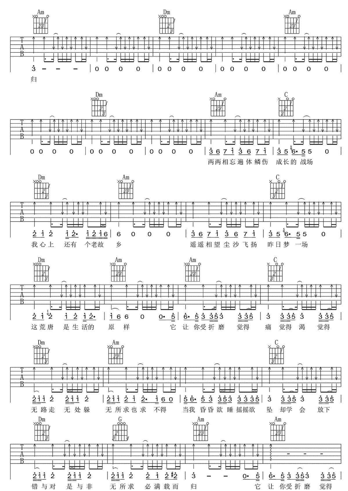 陈粒《无所求必满载而归》吉他谱_C调简单版