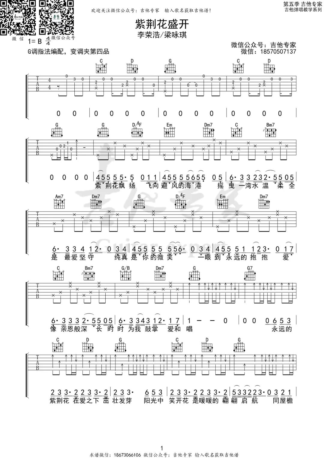 李荣浩/梁咏琪《紫荆花盛开》吉他谱_G调指法