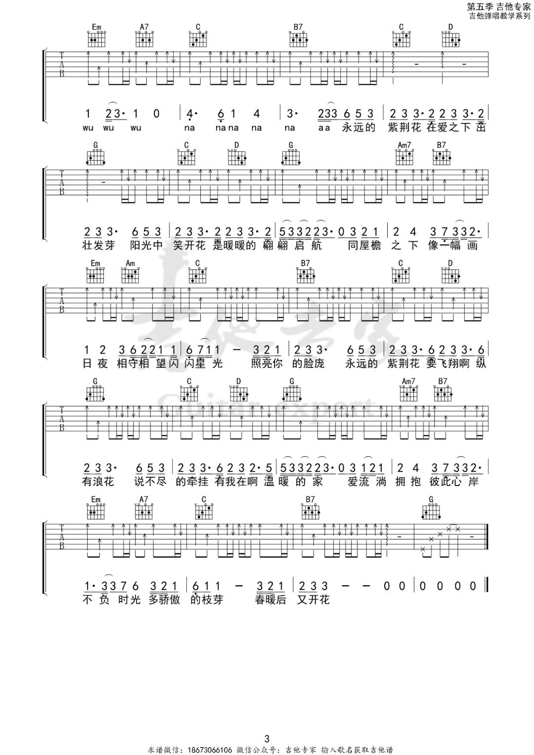 李荣浩/梁咏琪《紫荆花盛开》吉他谱_G调指法