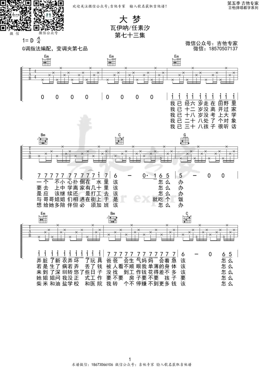 任素汐/瓦依那《大梦》吉他谱_G调原版弹唱谱