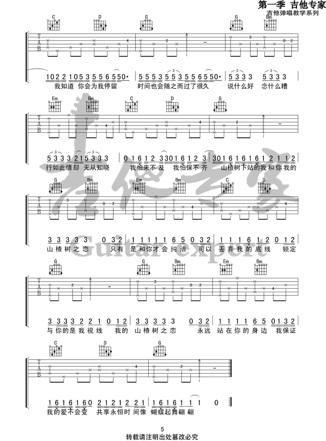 大能人/程佳佳《山楂树之恋》吉他谱_G调原版-图5