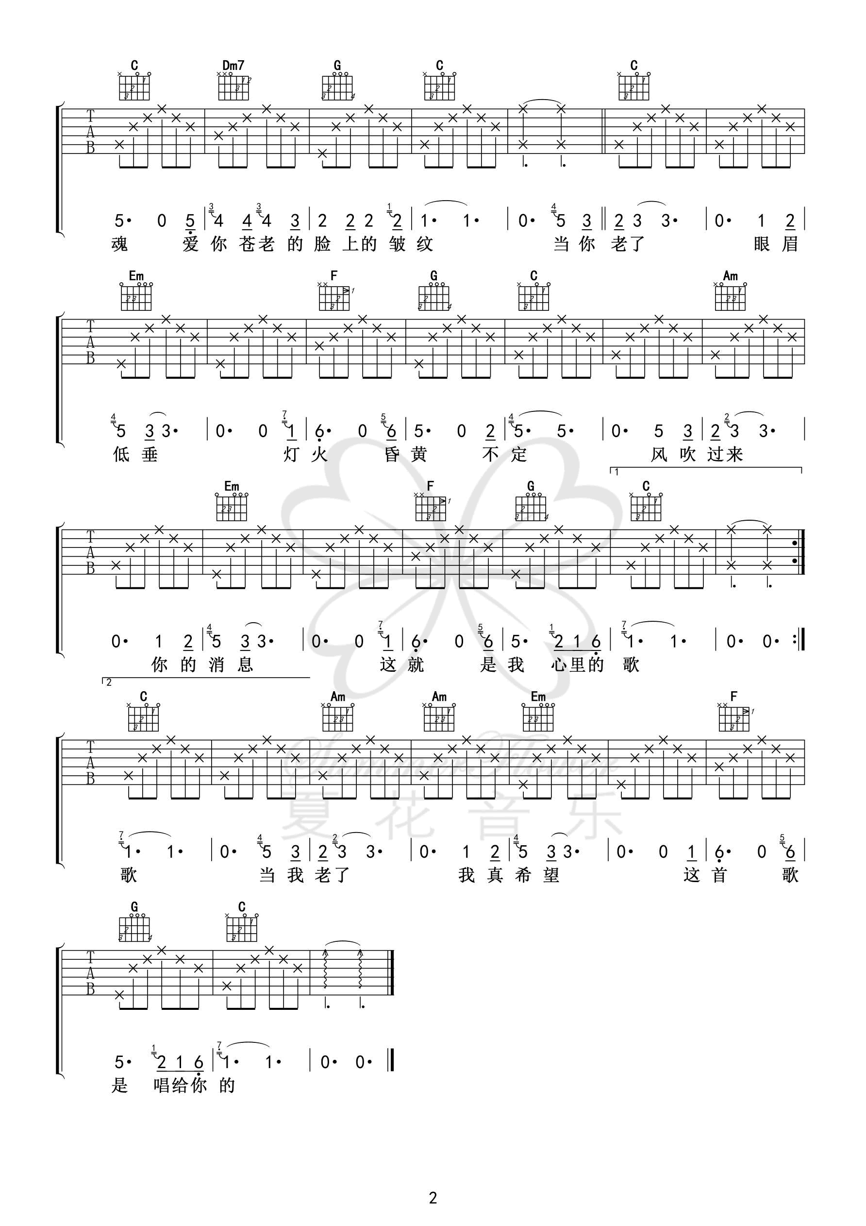 赵照《当你老了》吉他谱_C调指法简单版弹唱谱-图2
