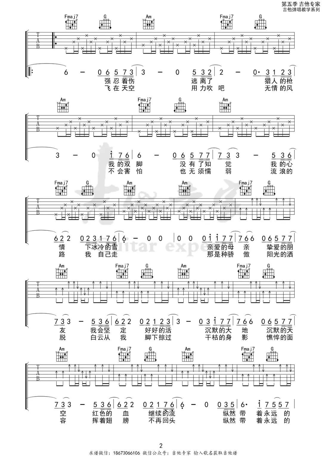 伍佰《白鸽》吉他谱_C调指法原版弹唱谱-图2