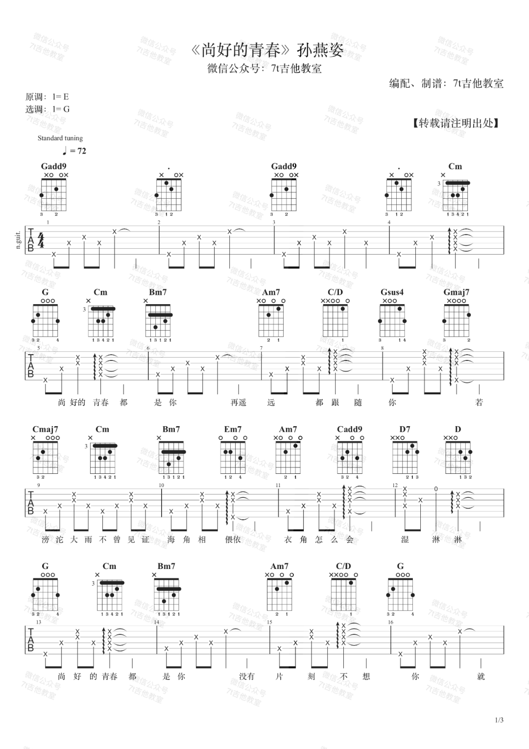 孙燕姿《尚好的青春》吉他谱_G调指法弹唱谱-图1