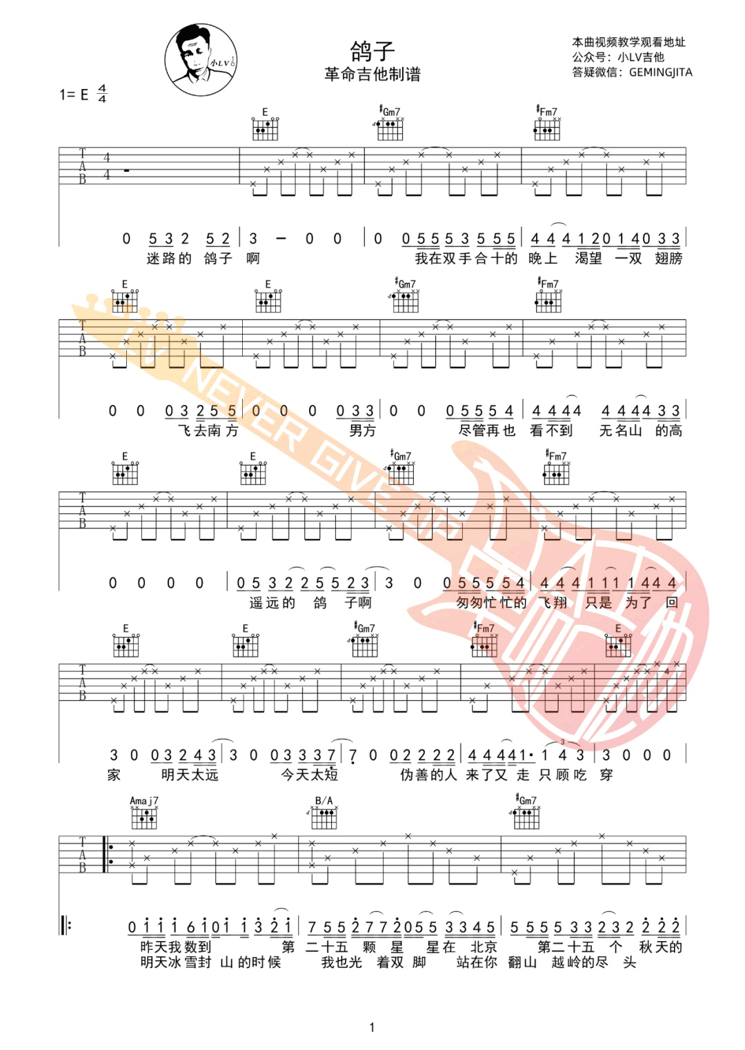 宋冬野《鸽子》吉他谱_E调指法原版弹唱谱-图1