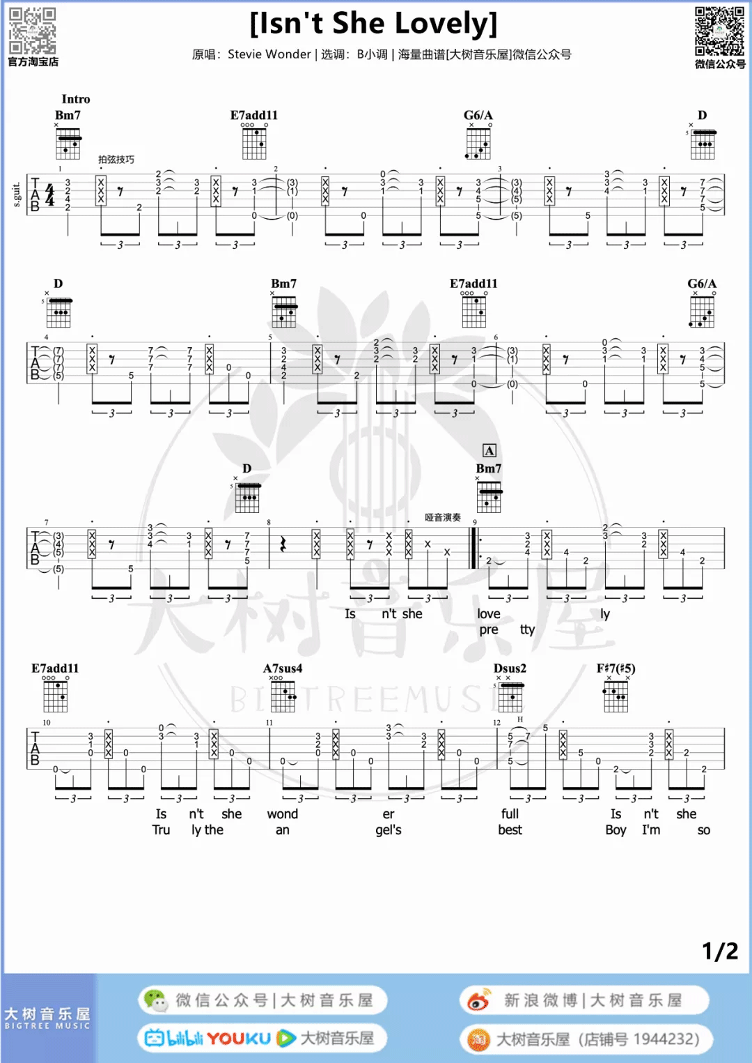 Stevie Wonder《Isnt She Lovely》吉他谱_B小调_吉他弹唱谱-图1