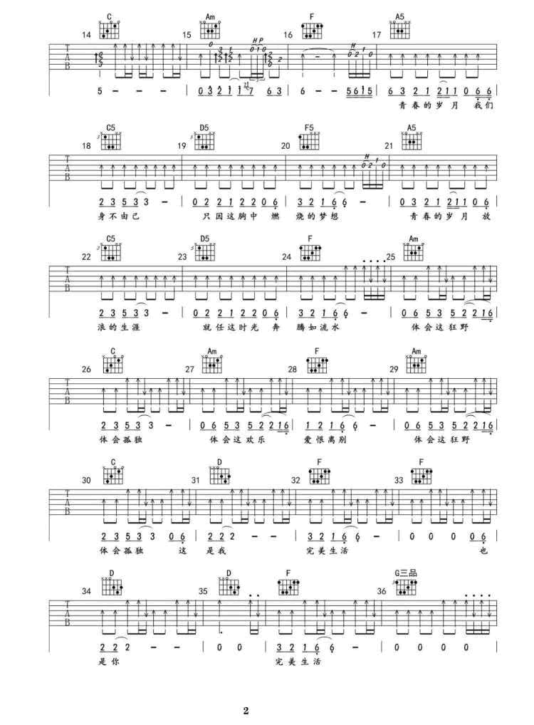 许巍《完美生活》吉他谱_C调原版指法吉他谱_吉他弹唱视频教学-图2