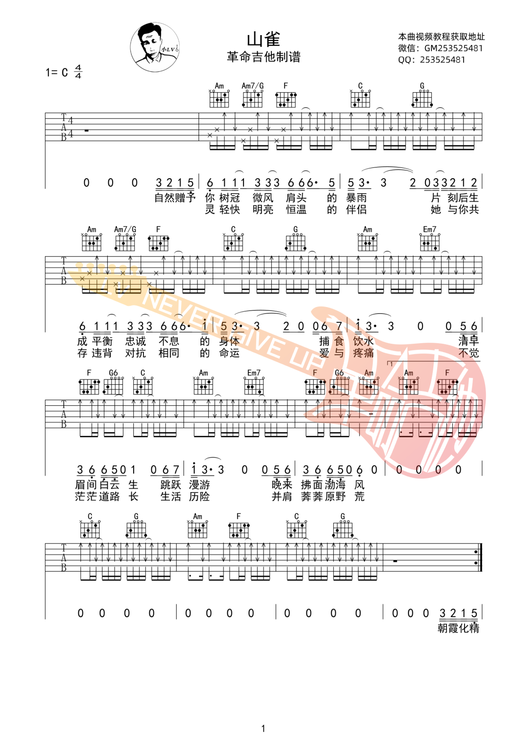 万能青年旅店《山雀》吉他谱_C调指法原版吉他谱_吉他弹唱视频教学-图1