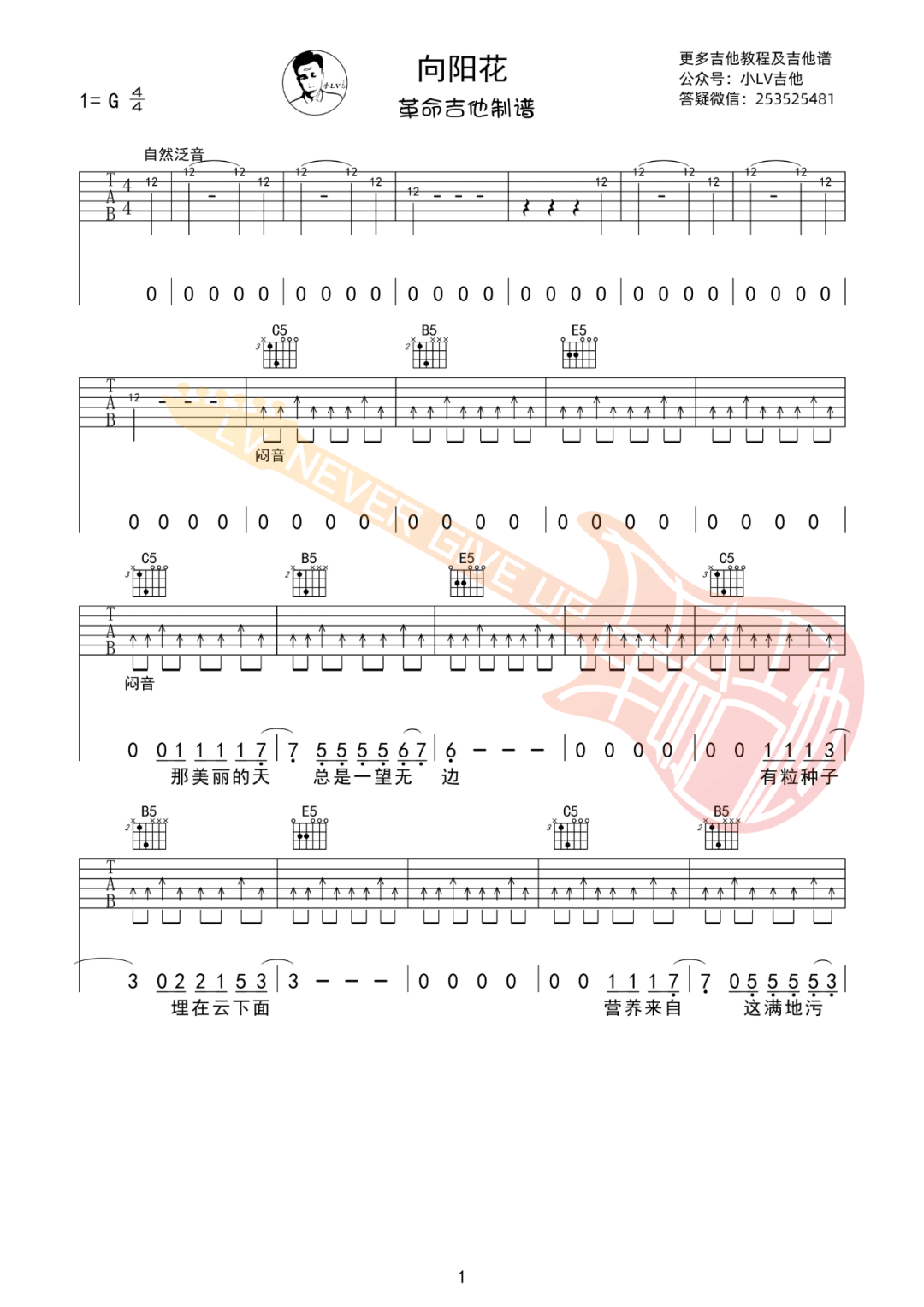 谢天笑《向阳花》吉他谱_G调原版吉他谱_吉他弹唱视频教学-图1