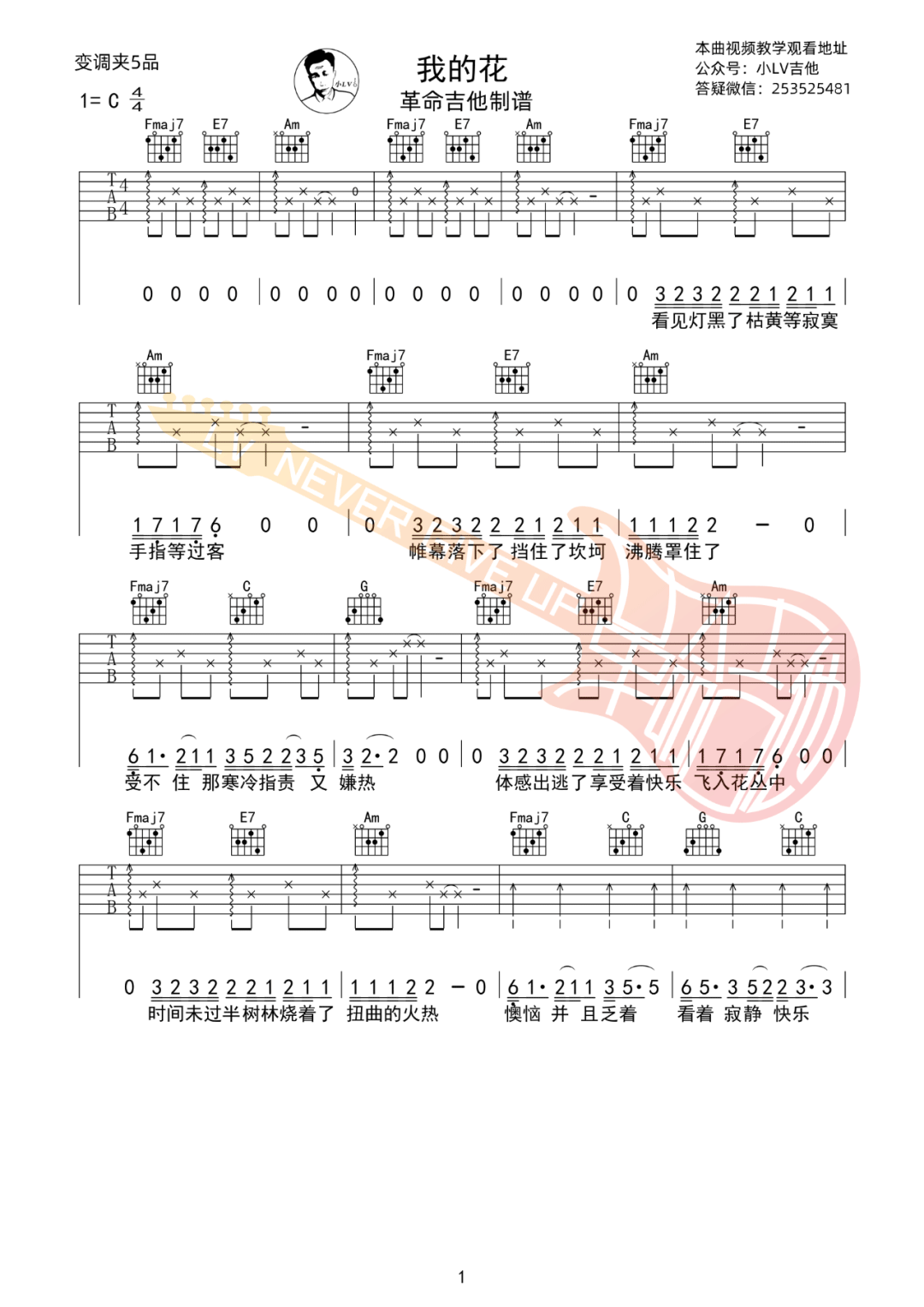 要不要买菜《我的花》吉他谱_C调原版吉他谱_吉他弹唱视频教学-图1