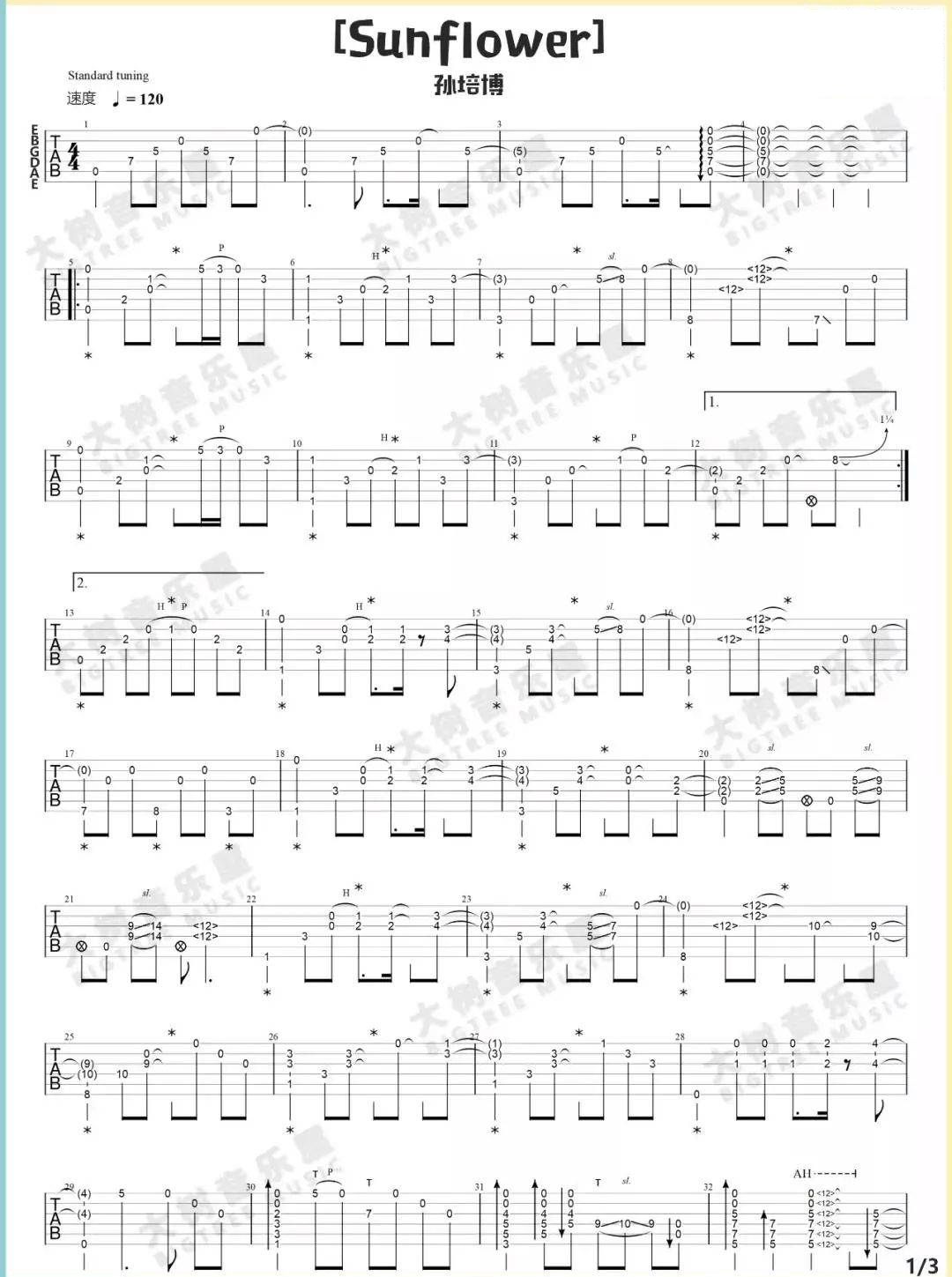 孙培博《太阳花》指弹吉他谱_Sunflower独奏吉他谱_指弹吉他教学-图1
