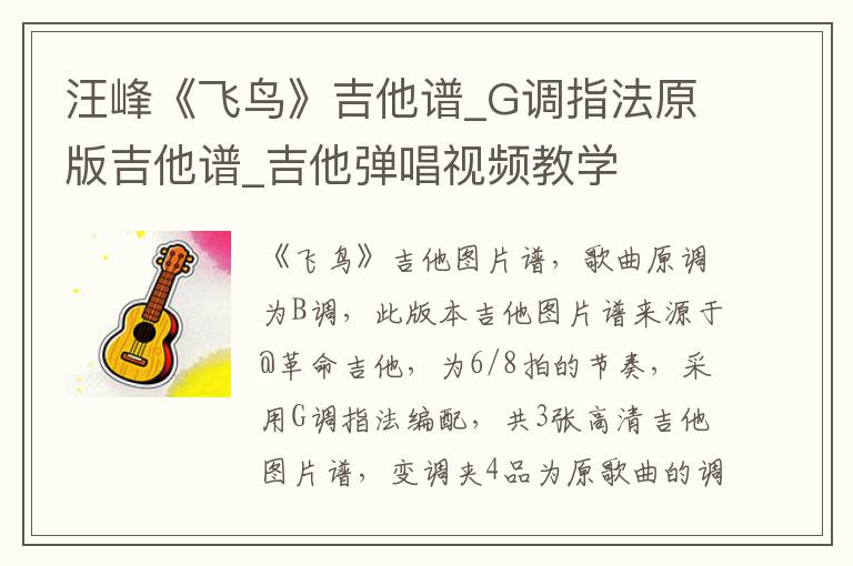 汪峰《飞鸟》吉他谱_G调指法原版吉他谱_吉他弹唱视频教学