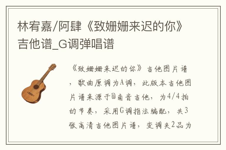 林宥嘉/阿肆《致姗姗来迟的你》吉他谱_G调弹唱谱