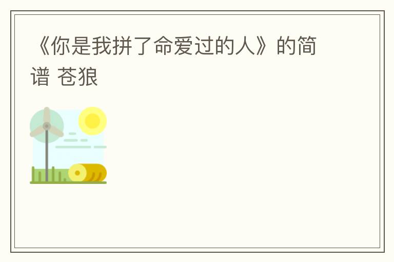《你是我拼了命爱过的人》的简谱 苍狼