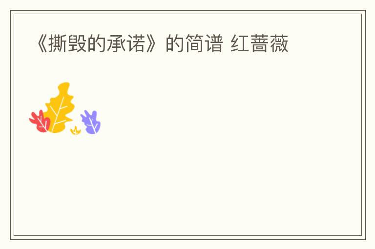 《撕毁的承诺》的简谱 红蔷薇