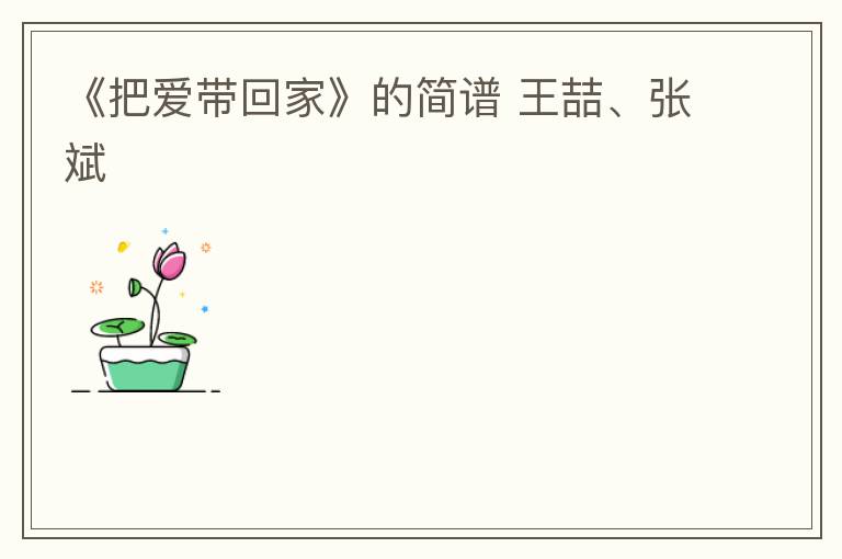 《把爱带回家》的简谱 王喆、张斌