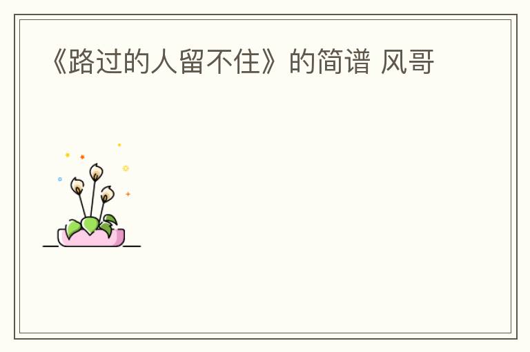《路过的人留不住》的简谱 风哥
