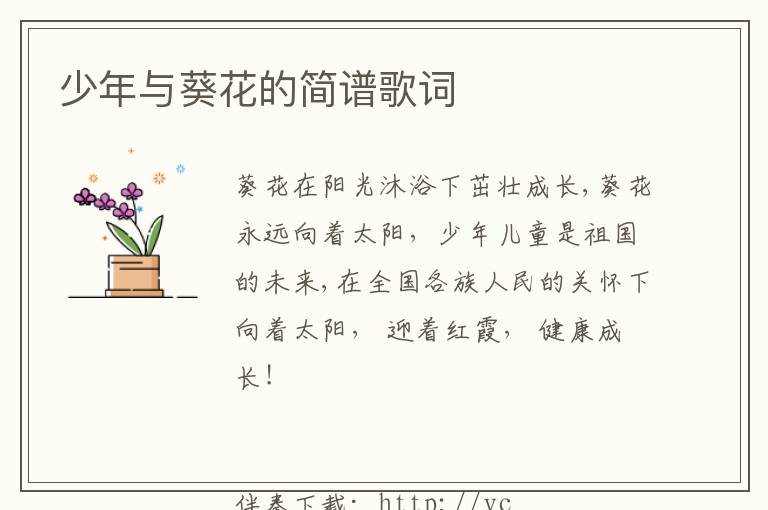 少年与葵花的简谱歌词