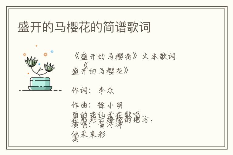 盛开的马樱花的简谱歌词