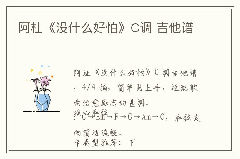 阿杜《没什么好怕》C调 吉他谱