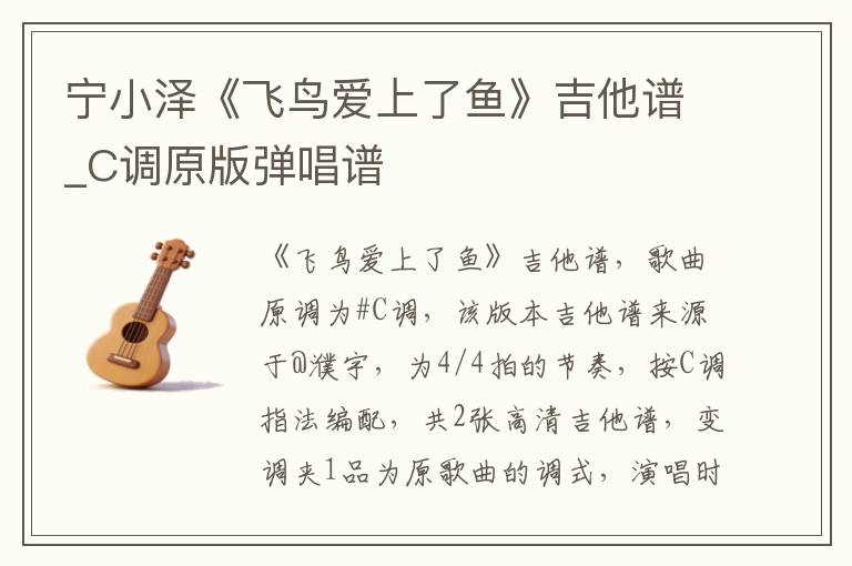 宁小泽《飞鸟爱上了鱼》吉他谱_C调原版弹唱谱