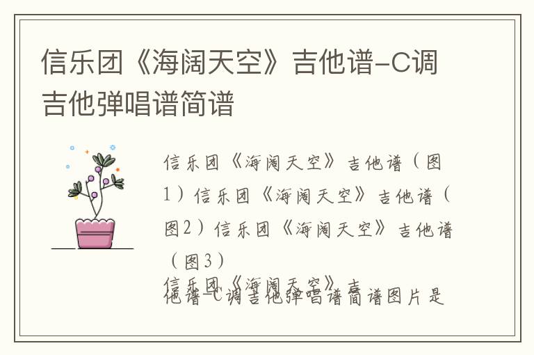 信乐团《海阔天空》吉他谱-C调吉他弹唱谱简谱