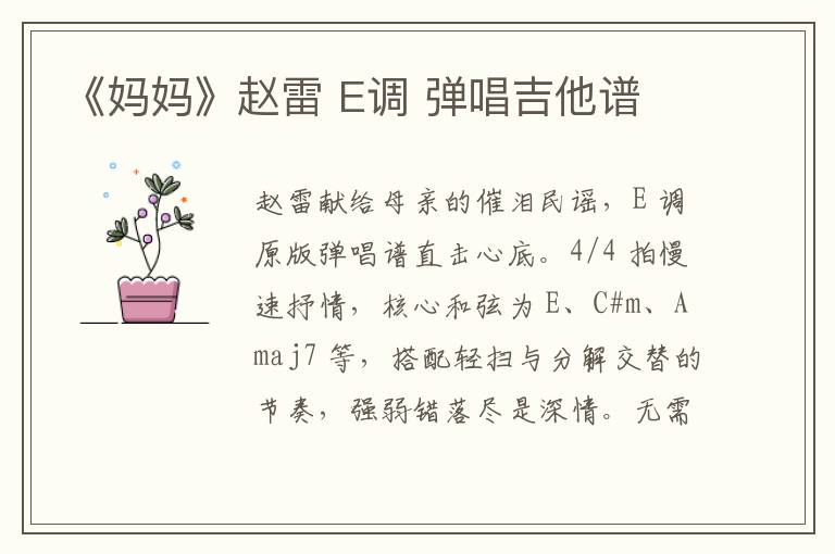 《妈妈》赵雷 E调 弹唱吉他谱