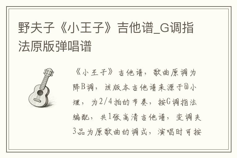 野夫子《小王子》吉他谱_G调指法原版弹唱谱