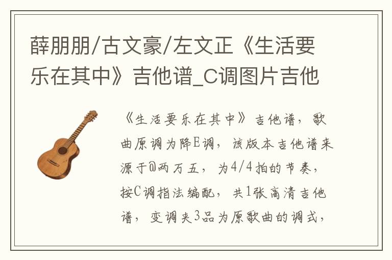薛朋朋/古文豪/左文正《生活要乐在其中》吉他谱_C调图片吉他谱