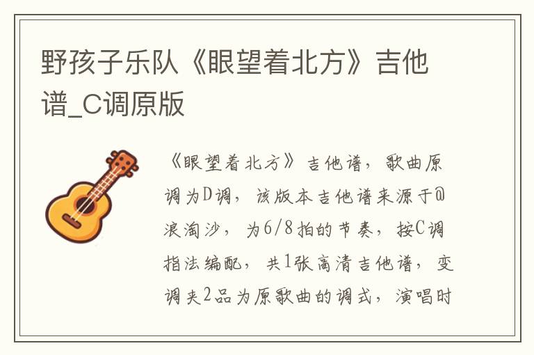 野孩子乐队《眼望着北方》吉他谱_C调原版