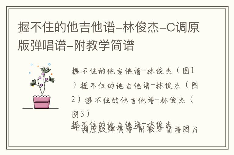 握不住的他吉他谱-林俊杰-C调原版弹唱谱-附教学简谱