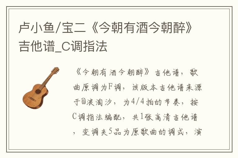 卢小鱼/宝二《今朝有酒今朝醉》吉他谱_C调指法